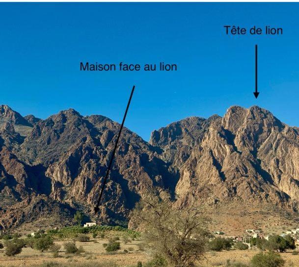 Maison Face Au Lion Tafraout Exterior photo